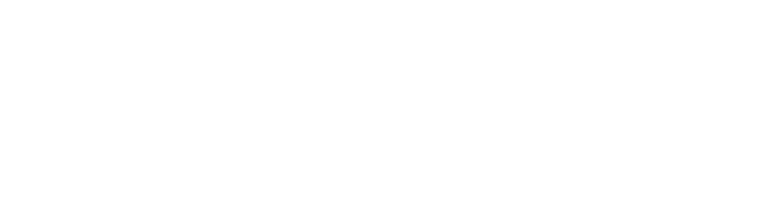 Partner logo 1