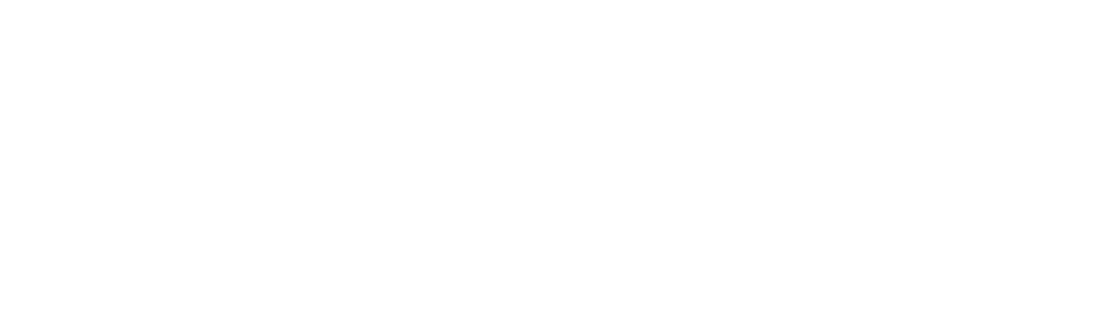Partner logo 13