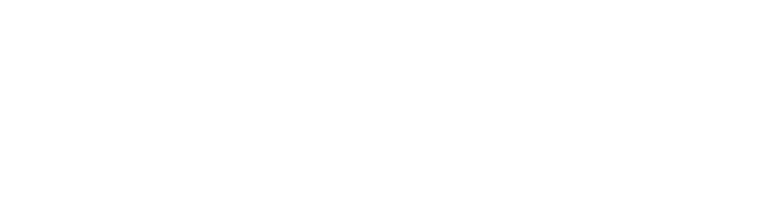 Partner logo 2