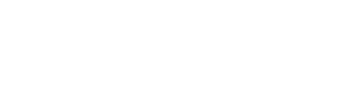 Partner logo 35